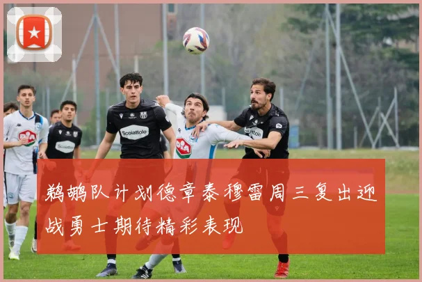 鹈鹕队计划德章泰穆雷周三复出迎战勇士期待精彩表现
