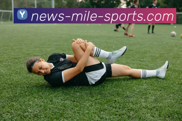 米乐体育APP 封面图